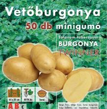 Vetőburgonya minigumó, twinner - 50 db