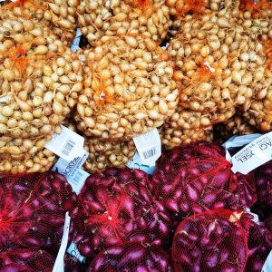 Agrosel dughagyma, lila - 350g - SZEPTEMBER 15. UTÁN ELÉRHETŐ!
