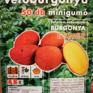 Vetőburgonya minigumó, esmee - 50 db