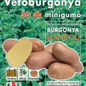 Vetőburgonya minigumó, manitou - 50 db
