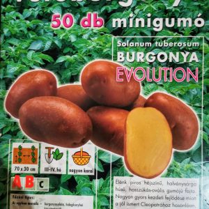 Vetőburgonya minigumó, evolution - 50 db