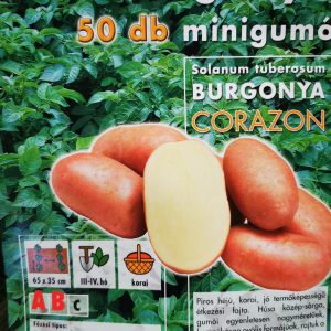 Vetőburgonya minigumó, corazon - 50 db