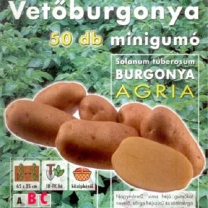 Vetőburgonya minigumó, agria - 50 db