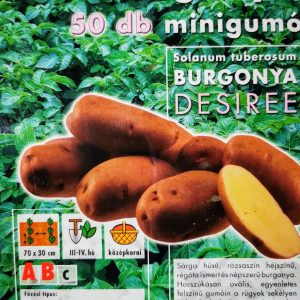 Vetőburgonya minigumó, desiree - 50 db