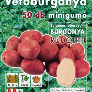 Vetőburgonya minigumó, rudolph - 50 db