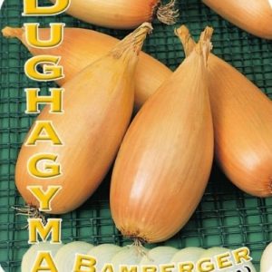 Vörös dughagyma, bambergen sonkahagyma - 200g - SZEPTEMBER 15. UTÁN ELÉRHETŐ!
