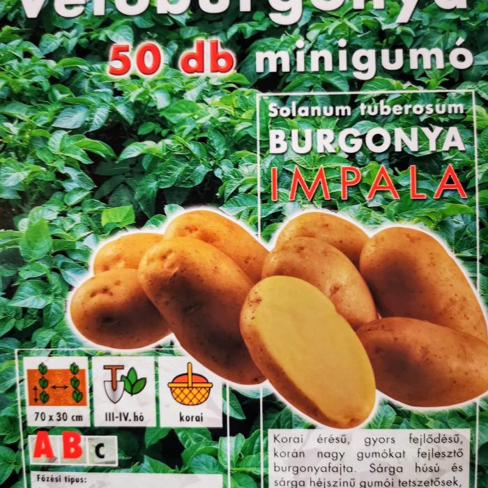 image5 (1)