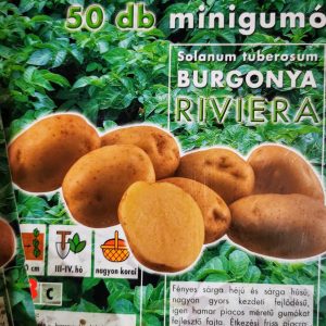 Vetőburgonya minigumó, riviera - 50 db