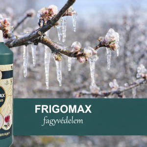 Damisol GOLD Frigomax 1/1