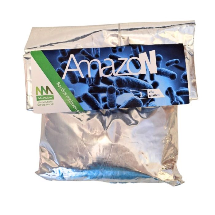amaz4401