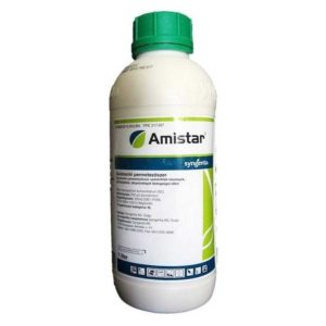 Amistar 1/1
