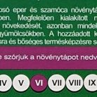 biop3901_2