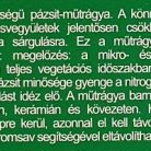 biop4301_2