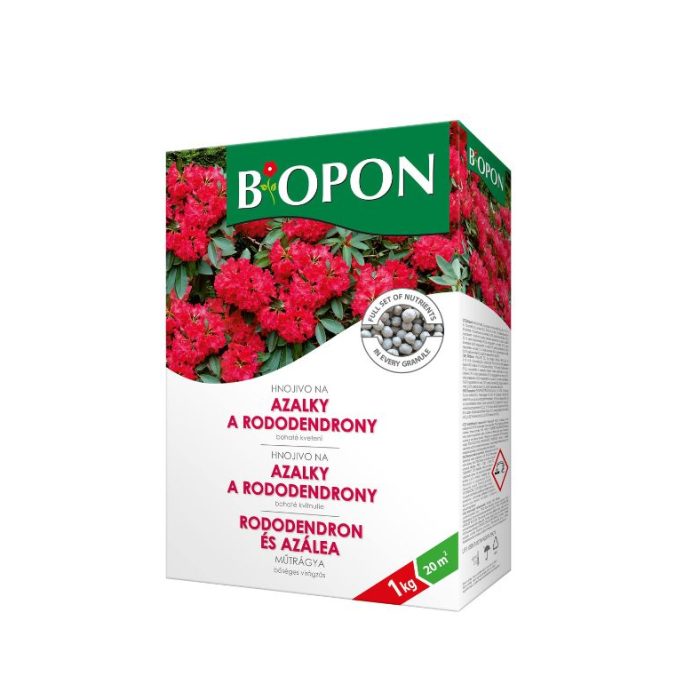 biop6201
