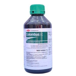 Colombus 1/1