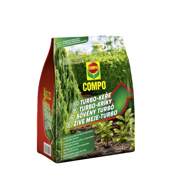 comp6801