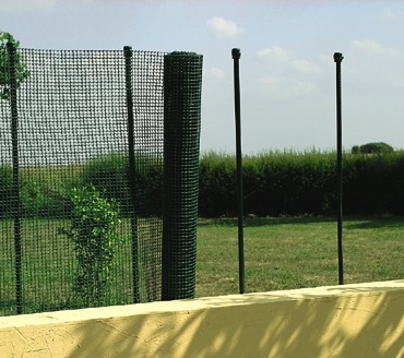 cuad5001_1 cuad5001_1