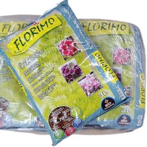 FLORIMO Vf. Szobanövény "A" 3/1