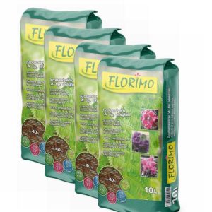 FLORIMO Vf. Szobanövény "A" 10/1