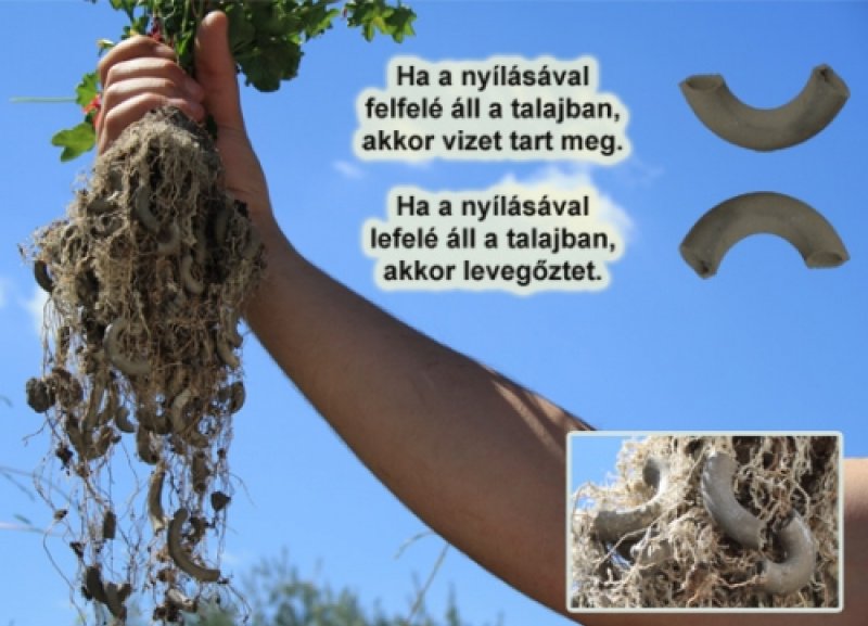 gyok4401_3 gyok4401_3