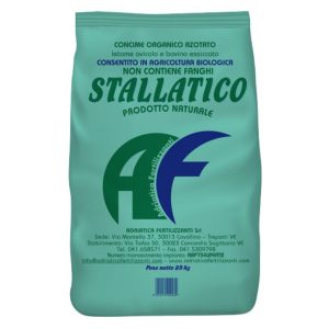 Marhatrágya - pell. /Stallatico/ 25/1