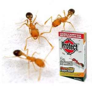 Protect fáraóhangyairtó csali 3*2,5 g