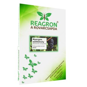 Reagron Nyerges szőlőmoly alapcsapda