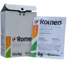 rome4001