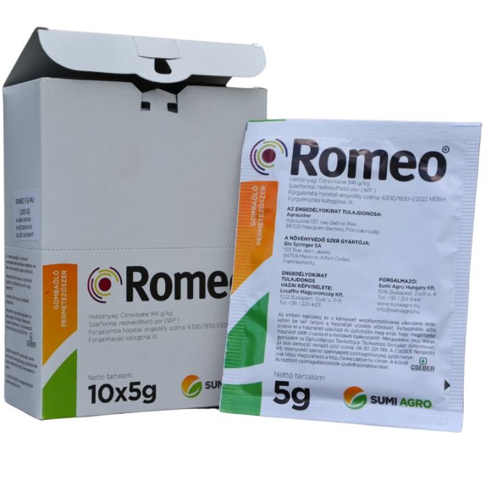 rome4001