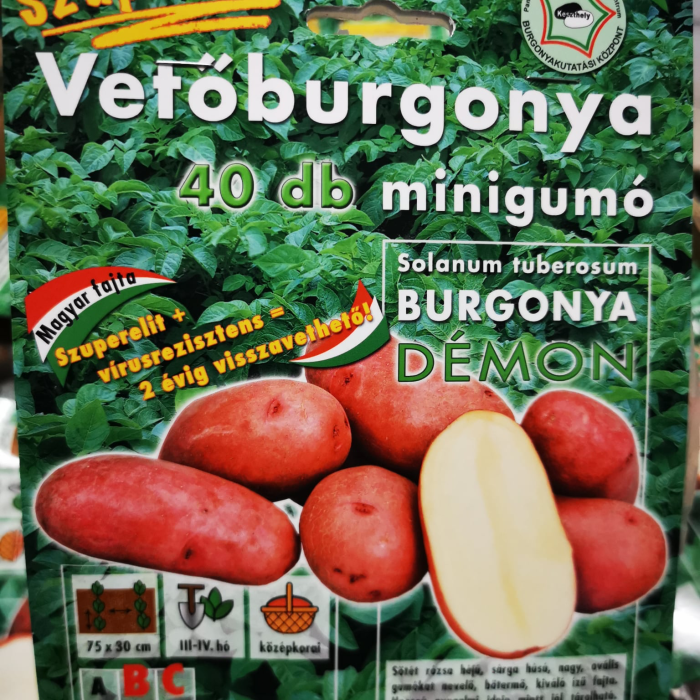 image (1)