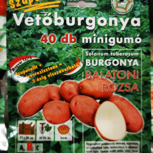 Vetőburgonya minigumó, Balatoni rózsa - 40 DB